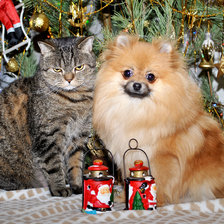 Схема вышивки «НОВЫ ГОД, ЗИМА, ЖИВОТНЫЕ»