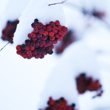 Схема вышивки «НОВЫ ГОД, ЗИМА, ГОРОД»