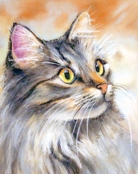 Кот - кот - оригинал