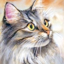 Схема вышивки «Кот»