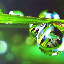 Схема вышивки «Роса»