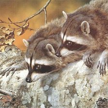 Схема вышивки «Еноты»