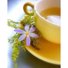 Схема вышивки «Чашка»