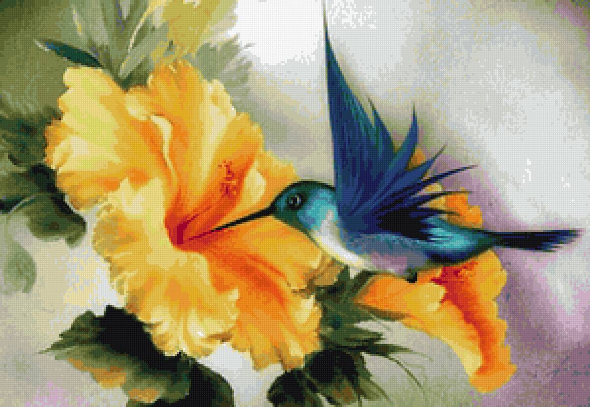 Гибискус и колибри - птицы, гибискус, цветы - предпросмотр