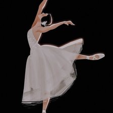 Схема вышивки «vu cong bale»