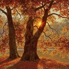 Схема вышивки «№2437117»