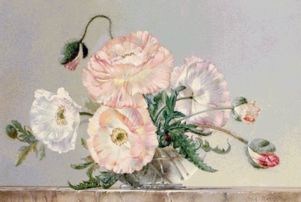 №2437135 - cecil-kennedy-flower - предпросмотр