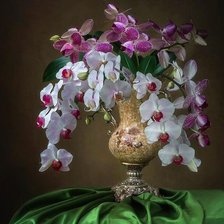 Схема вышивки «№2437160»