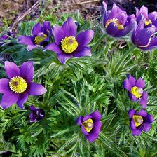 Схема вышивки «Весна»