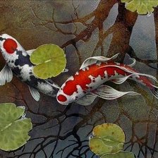 Схема вышивки «кои»