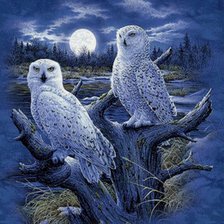 Схема вышивки «Совы»