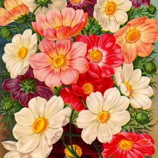 Схема вышивки «касмея»