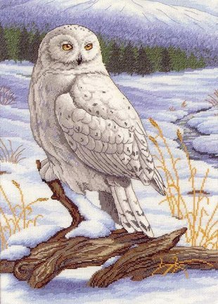 №2437905 - оригинал