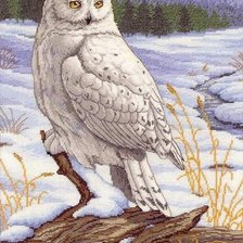 Схема вышивки «№2437905»