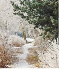 Схема вышивки «264х352»