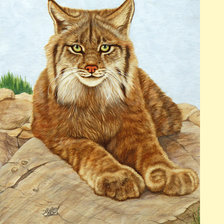 Схема вышивки «Серия "Хищники"»