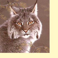 Схема вышивки «Серия "Хищники"»