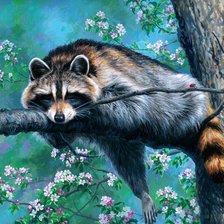 Схема вышивки «енот»