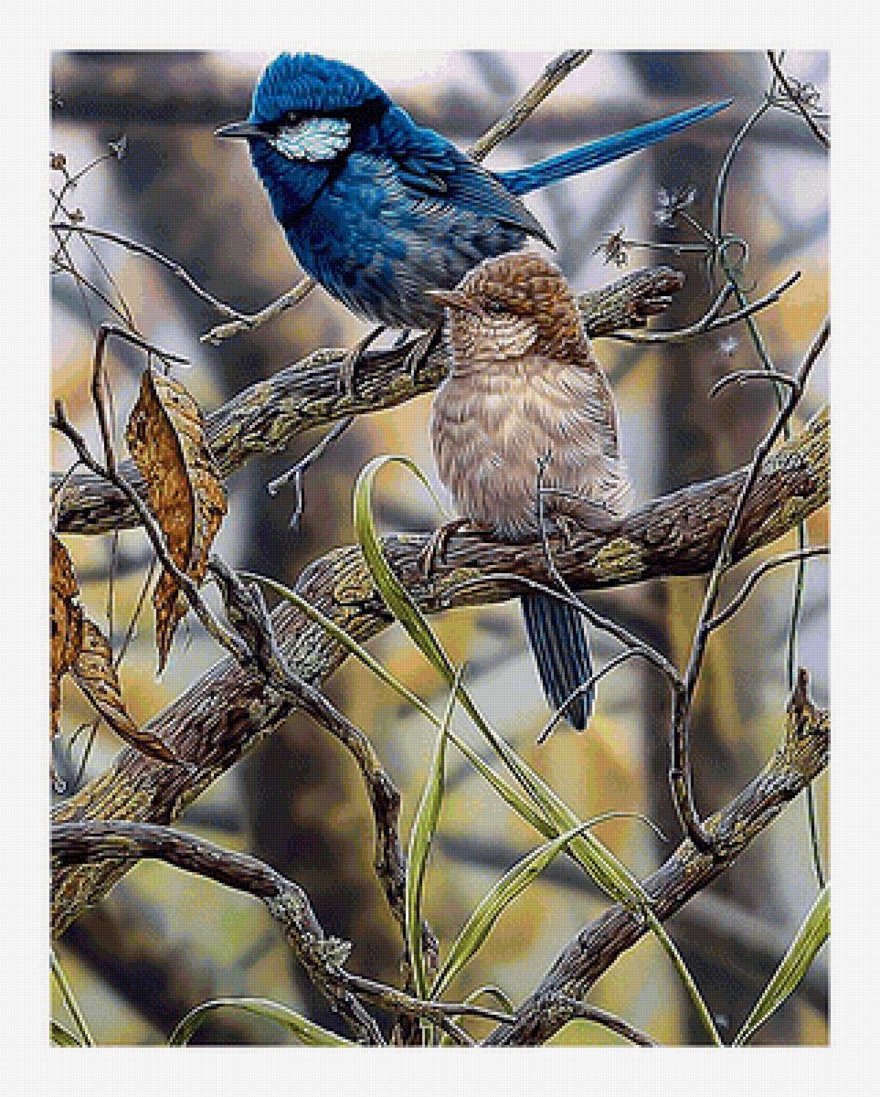 Птички. - природа, птицы, живопись - предпросмотр