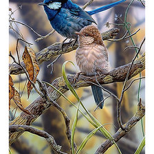 Схема вышивки «Птички.»