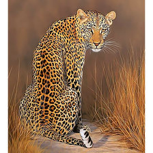 Схема вышивки «Леопард.»