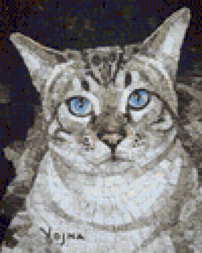 meo mat xanh - предпросмотр