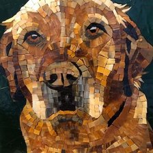 Схема вышивки «Dog»