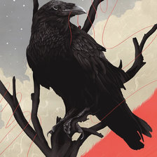 Схема вышивки «Ворон с нитью»