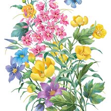 Схема вышивки «№2439793»