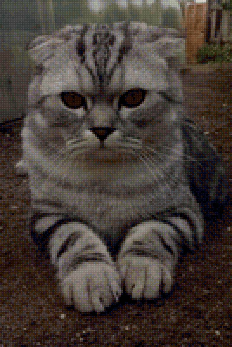 Феликс - предпросмотр