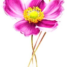 Схема вышивки «onętek»