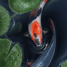 Схема вышивки «Карпы кои»