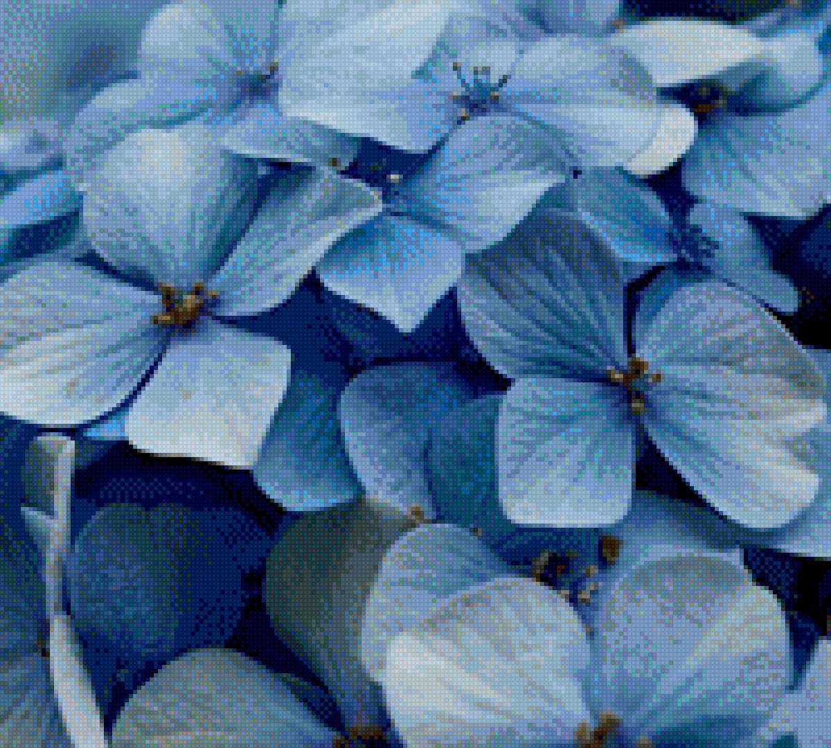 подушка голубая гортензия - подушка, цветы, гортензия - предпросмотр