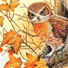 Схема вышивки «Сова»