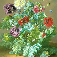 Схема вышивки «Маки»