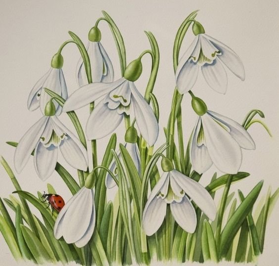 Первые - весна, цветы, подснежники - оригинал