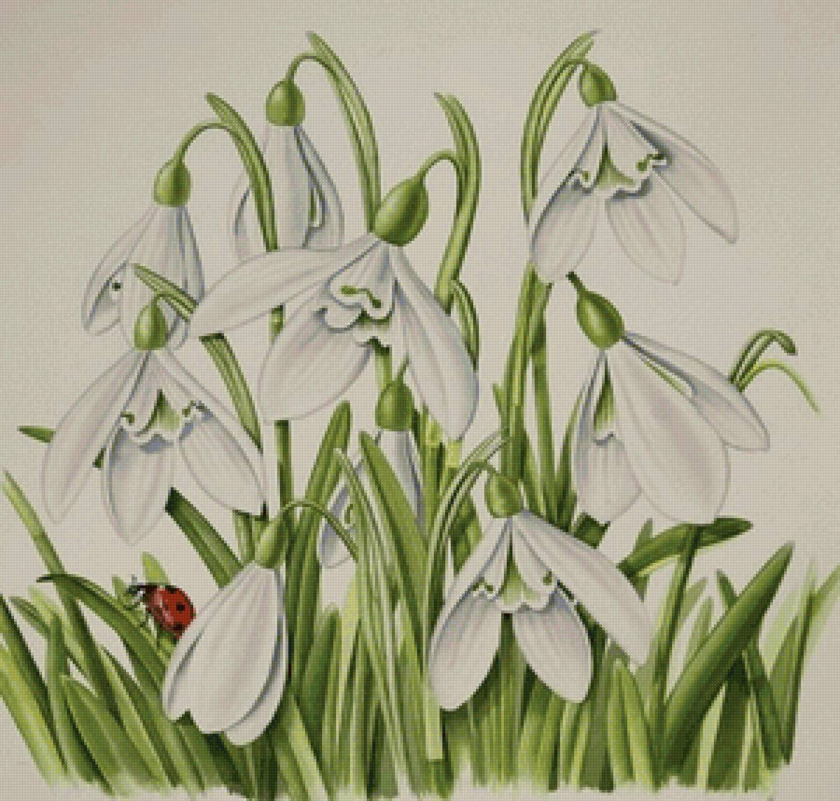 Первые - подснежники, цветы, весна - предпросмотр