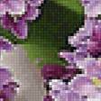 Предпросмотр схемы вышивки «352х248» (№2441388)