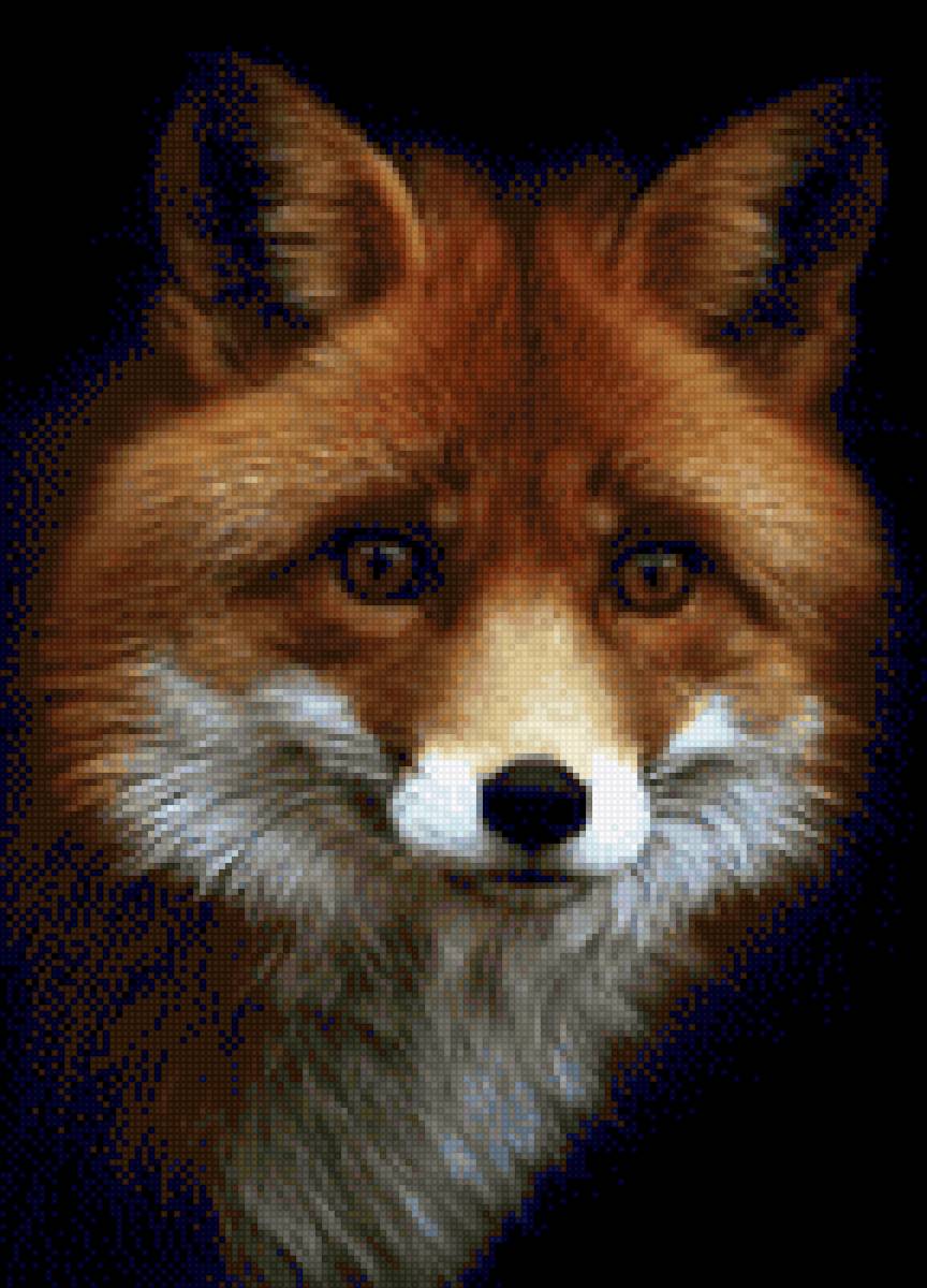 Лиса - краса, лиса - предпросмотр