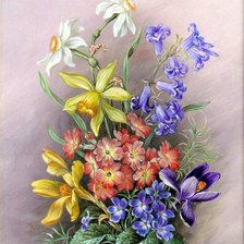 Весенние цветы