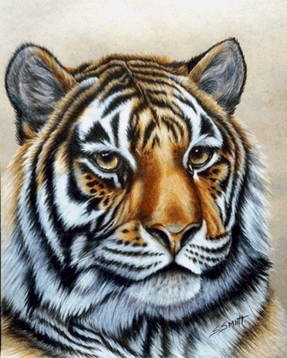 №2442419 - предпросмотр