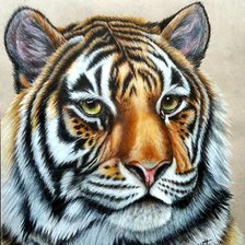 Схема вышивки «№2442419»