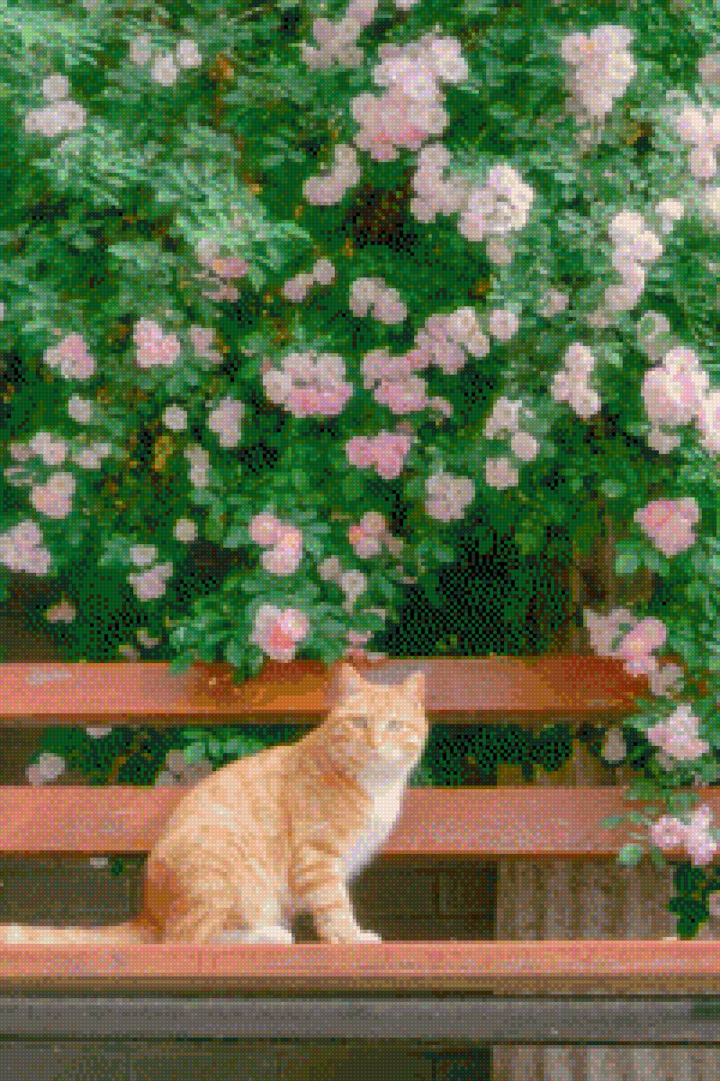 Ggg - meo - предпросмотр