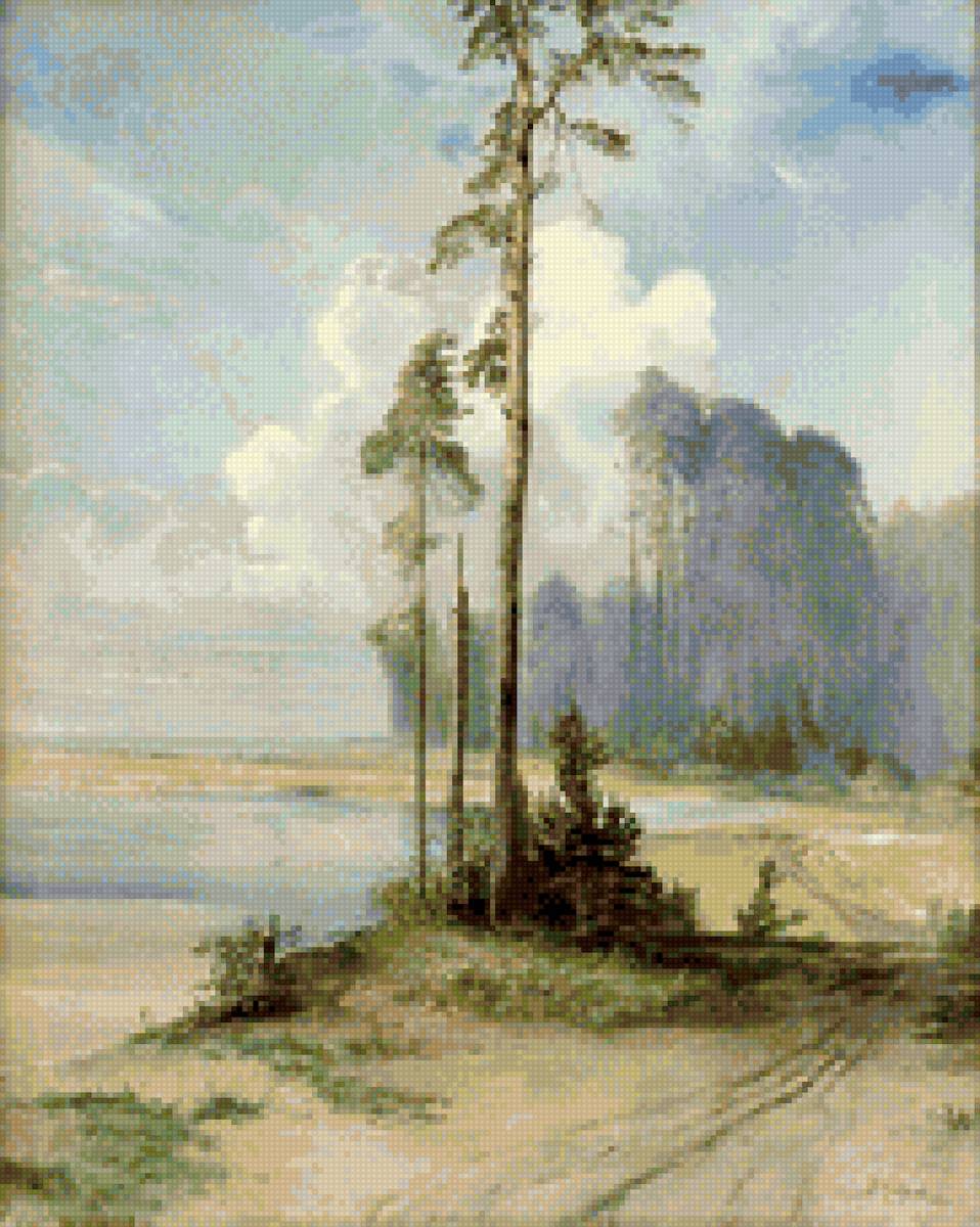 Летний пейзаж. Сосны - деревья, пейзаж, дерево, картины, природа, лето - предпросмотр