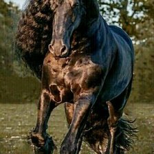 Схема вышивки «Лошадь»