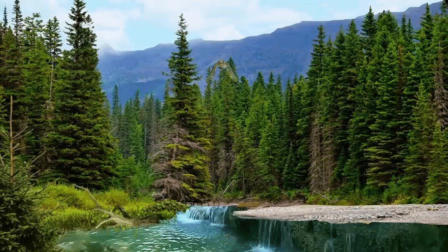 №2443191 - оригинал