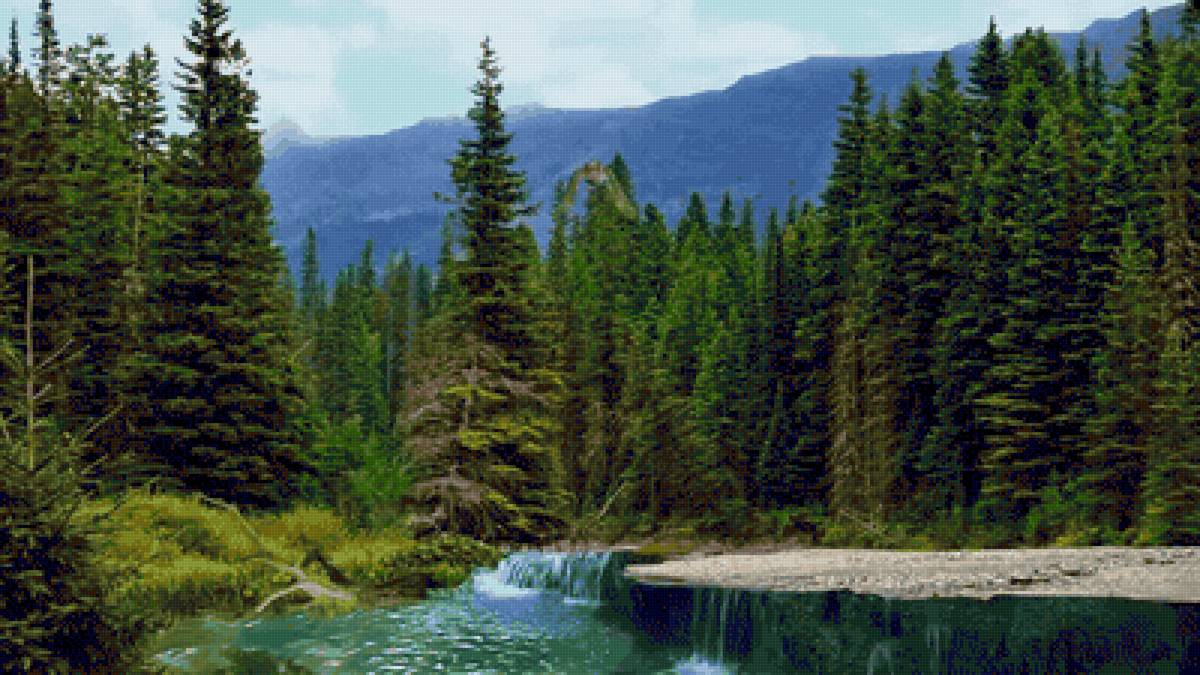 №2443191 - предпросмотр