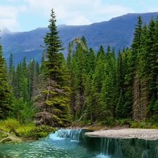 Схема вышивки «№2443191»