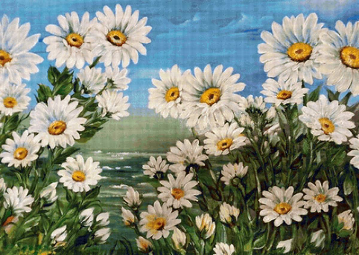 ромашки - цветы - предпросмотр