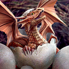 Схема вышивки «дракон»